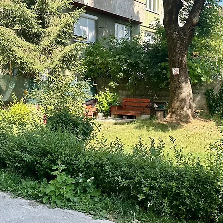 Apartment Cozy Family - Bjelave